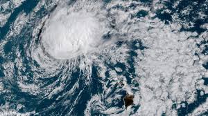 Image result for Teal Tropic Green 1980 Chrysler