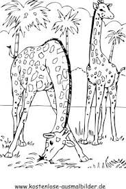 Ausmalbilder Giraffen Giraffen Malvorlagen Lowen Malvorlagen Malbuch Vorlagen Ausmalbilder