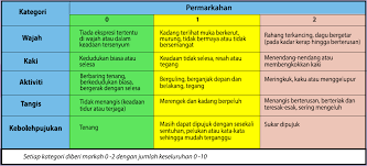 Then be born into a malay speaking family! Https Www Moh Gov My Moh Resources Penerbitan Program 20bebas 20kesakitan Garis 20panduan 2 In 1 P5vs Guideline 3rd Edition Corrected 2020 Pdf