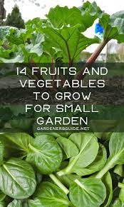 14 Fruits And Vegetables To Grow For Small Garden Vegetables Growing Vegetables Easy Vegetables To Grow