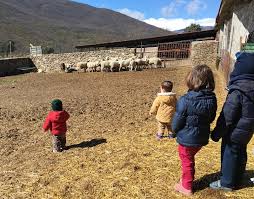 Most casas rurales belong to owner associations. 25 Casas Rurales Con Granja Para Ir Con Ninos