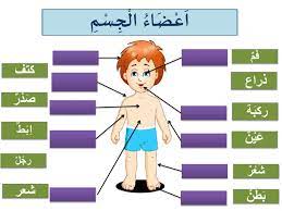 Gambar pemandangan kartun yang ada di film animasi menyajikan keindahan tersendiri. Anggota Badan Dar 1 Worksheet