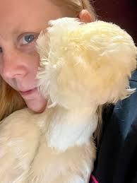 Have you hugged your duck(s) today?