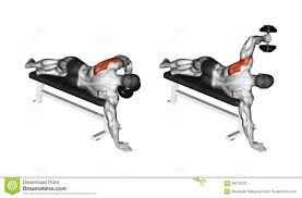 Exercising Lead Hand With A Dumbbell Rear Deltoid Dumbell Workout Shoulder Workout Gym Workout Tips