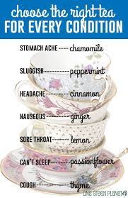 How To Choose The Right Tea For Every Condition Tea Remedies Stomach Ache Tea