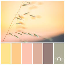 The earthy quality of apricot captures our desire for a connection to nature & craft. Color Palette Color Combination Farbpalette Hue Yellow Gelb Yellow Orange Gelb Orange Ora Color Palette Yellow Brown Color Palette Yellow Colour Scheme