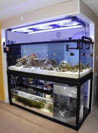 Umumnya, filter aquarium yang baik dibagi menjadi tiga bagian yang memiliki fungsi berbeda. Skimmer Aquarium Air Laut