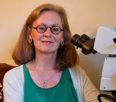 Congratulations to the 2021 Honorary Members