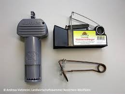 Wir hatten auch solche tieren im garten, allerdings konnten wir sie bekämpfen indem wir einfach drahtzaun um die. Wuhlmause Schermause Im Garten Landwirtschaftskammer Nordrhein Westfalen