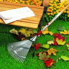 Wolf Garten Multi Change Adjustable Rake Stonex Tools Australia