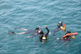 Image result for Decompression Sickness Management