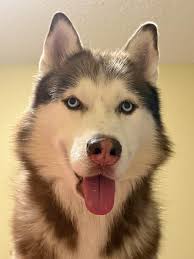 Welcome to our page ! We kindly ask that you double check all of the rules  again, and ensure you are here for the right reasons. All posts should be  contained to