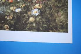 Preston Steed Morning Stretch watercolor giclee print Ltd Edtn flowers  painting