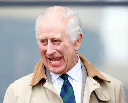 Photos from Windsor Championship Show 30 June 2024 part 2