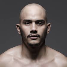 The Spider's Lair (2013)