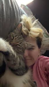 Lost cat in southside slopes area