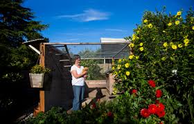Check out the latest news from backyard bar and restaurant at the sheraton austin hotel in downtown austin, texas. A Backyard Chicken Coop In Austin Texas Backyard Coops Are Growing In Popularity Throughout The Country As People Are Wanting To Source Their Food Locally Aurf03569 Cavan Images Westend61