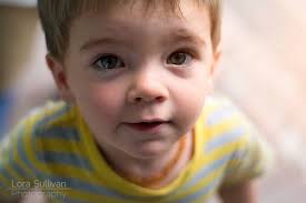 Lora Sullivan Photography