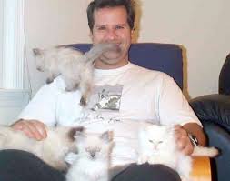 In addition to both being large breeds of cat, they both have long beautiful fur, a strikingly unique appearance, and silky coats. Virginia Cat Breeders Websites Kittysites Com