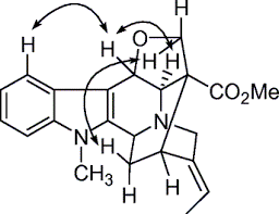 Image result for Voacanga chalotiana