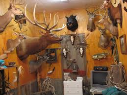 Check spelling or type a new query. Trophy Room Hunting