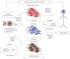 Check spelling or type a new query. Challenges In Animal Modelling Of Mesenchymal Stromal Cell Therapy For Inflammatory Bowel Disease
