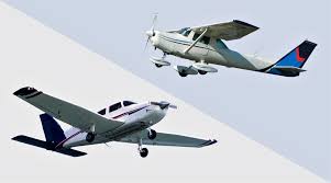 Image result for Piper