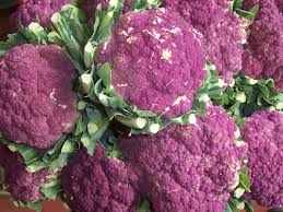 We did not find results for: Cavolfiore Proprieta Nutrizionali E Caratteristiche