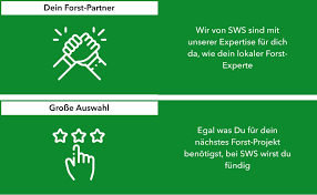 Page 1 of 1 start over page 1 of 1. Sws Forst Sagekette Langer Schneidezahn 3 8 1 3 Mm 46 Treibglieder Kompatibel Mit Dolmar Echo Einhell Hitachi Und And Amazon De Garten