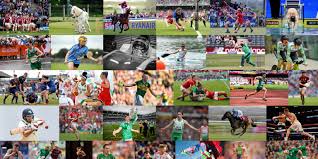 Wir liefern in ganz deutschland. Sport Endorse Linkedin