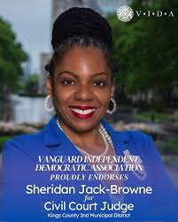 Vanguard Democrats (VIDA)