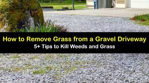 There are many cultural things that can be tried before spraying. 5 Effective Ways To Remove Grass From A Gravel Driveway