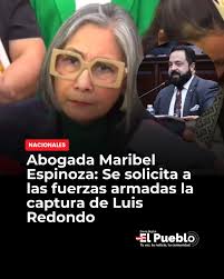 En sesión de diputados opositores, se responsabilizó a Luis Redondo,  presidente del Congreso, y a Mel Zelaya por los ataques a legisladores. La  abogada Maribel Espinoza solicitó a las Fuerzas Armadas la