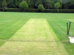 We did not find results for: How Does A Green Track Assist Swing Bowling Quora