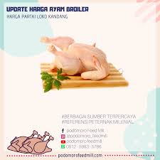 Ayam broiler atau disebut juga sebagai ayam pedaging, yang mana ayam ini adalah ayam dari perkawinan silang antar ayam, dengan produktivitas daging yang tinggi. Info Harga Ayam Broiler Hari Ini Info Harga Ayam Broiler Facebook