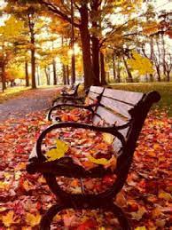 Pin By Tammy Frazier On Christmas Holidays 2020 Free Live Wallpapers Live Wallpapers Fall Pictures