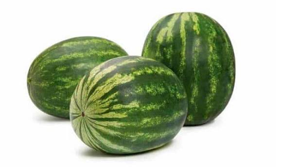 Bottle Rocket Watermelon (Treated Seed)