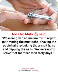 Image result for tbn:EYMJ1HdemBb2HM::www.sunna.info/souwar/data/media/7/www_sunna-info-221.JPG