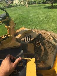 How much does stump removal cost? Stump Grinding Service Stump Removal Reaching Higher