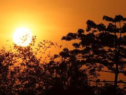The longest day of the year, known as the summer solstice, is celebrated throughout the uk every year. 4oi Vsnggpihim