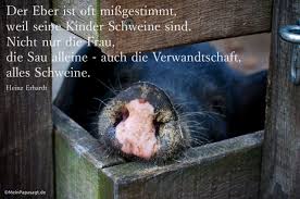 Der Eber Ist Oft Missgestimmt Weil Seine Kinder Schweine Sind Nicht Nur Heinz Erhardt Erhardt Heinz Erhardt Zitate
