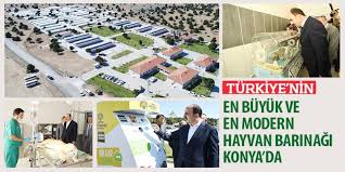 Turkiye Nin En Buyuk Ve En Modern Hayvan Barinagi Konya Da