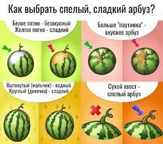 В отдельных случаях могут действовать дополнительные условия. Milliy Taomlar Kozon 3 Avgusta Vsemirnyj Den Arbuza V Ssha Etot Prazdnik Imeet Status Nacionalnogo Fermery Sorevnuyutsya V Razmerah Vyrashennyh Arbuzov Gotovyat Iz Nego Freshi Ustraivayut Razlichnye Konkursy Odnim Iz