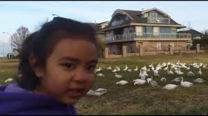 Check spelling or type a new query. Look At All Those Chickens Blank Template Imgflip