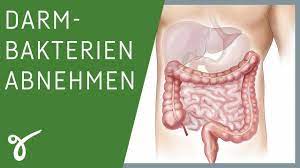 Check spelling or type a new query. Abnehmen Durch Darmbakterien Funktioniert Das Wirklich Gerne Gesund Kossendey Koch Dr Rohm Youtube