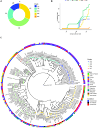 Wie gefährlich ist die indische mutation? Frontiers Analysis Of Indian Sars Cov 2 Genomes Reveals Prevalence Of D614g Mutation In Spike Protein Predicting An Increase In Interaction With Tmprss2 And Virus Infectivity Microbiology