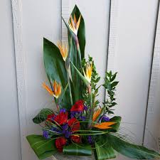 Get more stories like this one delivered right to your email. Bird Of Paradise Fever In Olympia Wa Specialty Floral Design Red Flower Arrangements Tropical Floral Arrangements Birds Of Paradise