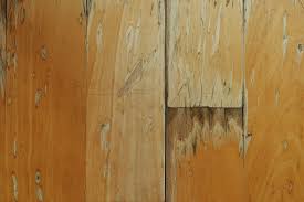 Dilapidation Inspection Vital Building And Pest Inspection Cleaning Wood Floors Wood Water Stain On Wood