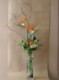 Bird Of Paradise Bouquet Care Best Modern Flower Arrangement Ideas Picture 57 Tropical Flower Arrangements Modern Flower Arrangements Modern Flower