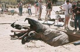 The diagnosis of parkinson disease is clinical, and key disease feat … Tremors 2 Aftershocks Own Watch Tremors 2 Aftershocks Universal Pictures
